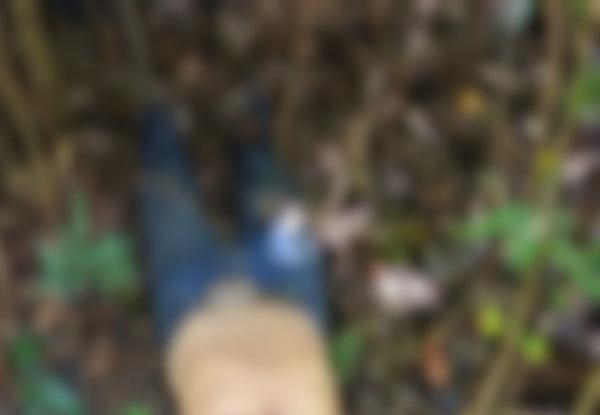 Tapurah: Vaqueiro morre ap&oacute;s sofrer ataque de on&ccedil;a e ter parte de corpo comido