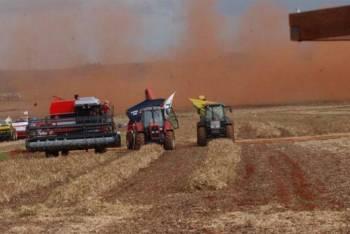 Governo estuda mudanças no Proagro; produtores devem migrar para seguro privado