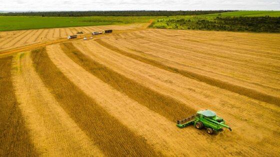 Sorriso &eacute; o munic&iacute;pio mais rico do agroneg&oacute;cio no Brasil