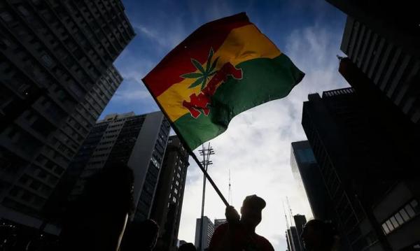 Quantidade de maconha vai diferenciar uso pessoal e tr&aacute;fico