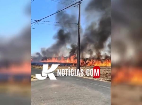 Sorriso: Bombeiros controlam incêndio criminoso em área de mata no Pinheiros III