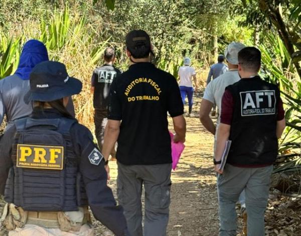 Operação contra trabalho escravo é realizada em Sorriso, Santa Carmen e Diamantino