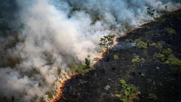 Amazônia tem pior temporada de queimadas em 17 anos; Fumaça afeta MT e outros 9 estados