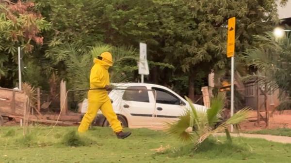 Sorriso: Tr&ecirc;s crian&ccedil;as e um cachorro s&atilde;o socorridos ap&oacute;s ataque de abelhas no Uni&atilde;o