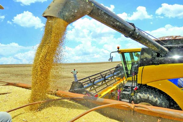 Cultivar soja está 12,7% mais caro
