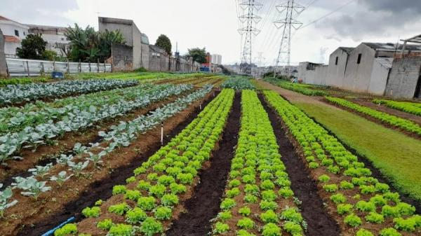 Vereadora Silvana Perin prop&otilde;e parceria para implanta&ccedil;&atilde;o de horta comunit&aacute;ria Bairro Uni&atilde;o