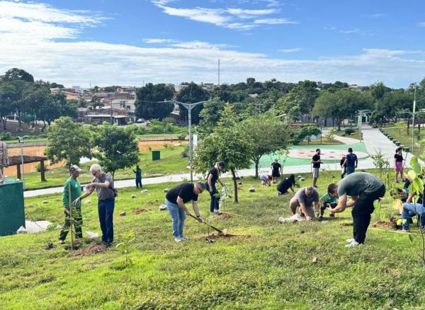 Unicred MT e Programa Verde Novo realizam o plantio de 500 mudas em Cuiabá