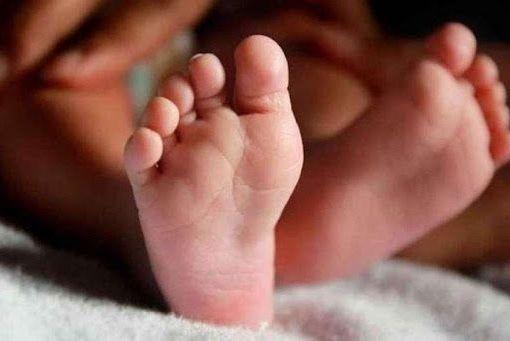 Sorriso: Mãe tem surto psicótico após bebedeira e crianças, de 5 meses e 1 ano e meio, são entregues ao Conselho Tutelar