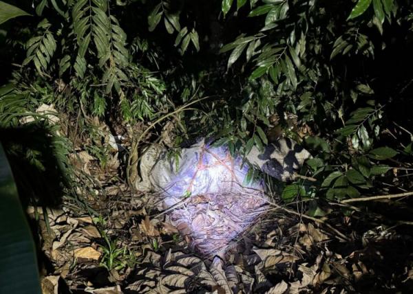 Sorriso: PM e bombeiros vão em denúncia de possível corpo em saco amarrado e era animal morto
