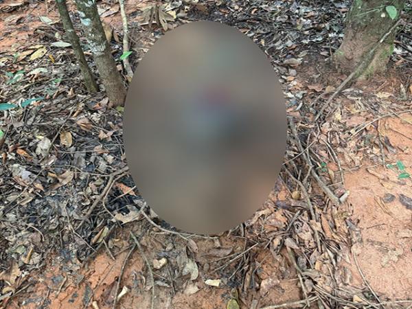 Sorriso: Ossada, que aparenta ser de um homem, é encontrada em matagal na Linha Celeste