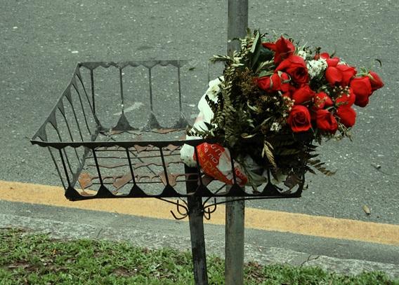 Sorriso: Mulher é perseguida pelo ex, recebe flores anônimas, joga fora e buquê "aparece" no seu quintal; ela tem medida protetiva contra ele