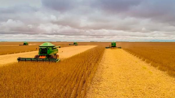 Ap&oacute;s conseguir suspens&atilde;o do RJ do Grupo Safras, fam&iacute;lia Locks "invade" fazenda e toma colheitadeiras