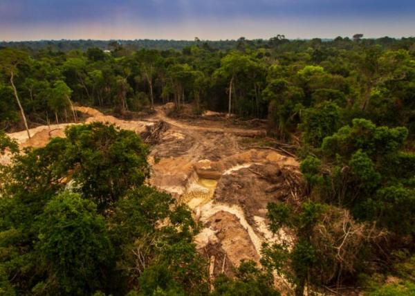 Nova Ubirat&atilde;: Fazendeiro denuncia que algu&eacute;m invadiu e desmatou &aacute;rea de reserva ambiental em sua fazenda &agrave;s margens da MT-242