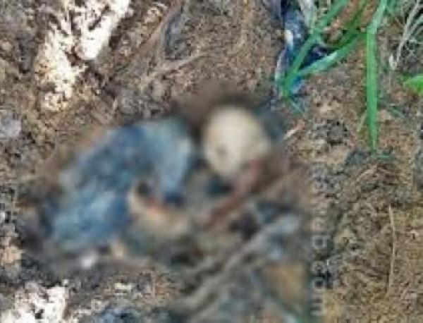 OSSADA HUMANA É ENCONTRADA EM FAZENDA NO MUNICÍPIO DE FELIZ NATAL