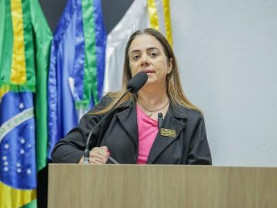 Requerimento pede articula&ccedil;&atilde;o parlamentar para contrata&ccedil;&atilde;o de reumatologista para atender no HRS