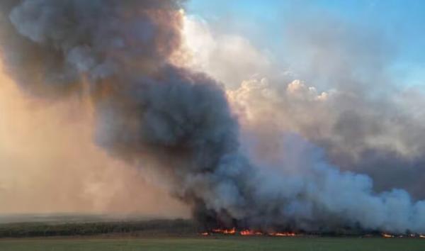 Nova Ubiratã: Incêndio de grandes proporções atinge lavoura e ameaçou comunidade