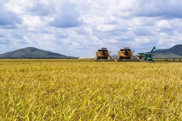 Valor da Produção Agropecuária é de R$ 697 bilhões, o maior dos últimos 31 anos
