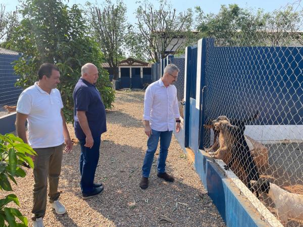 Sorriso: vereadores visitam Abrigo Municipal de Cães e Gatos