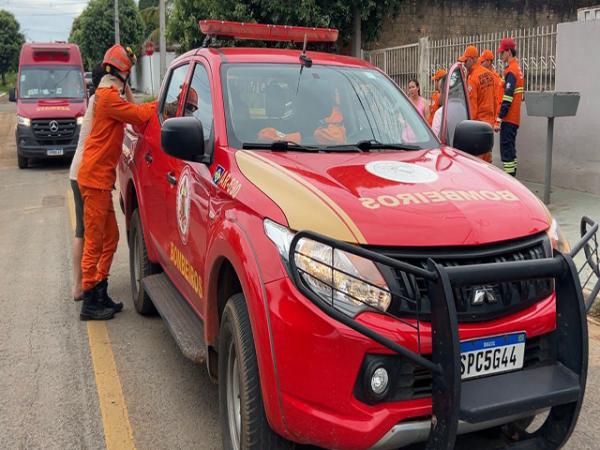 Sorriso: Moradores deixam port&atilde;o aberto, pitbull foge, ataca e mata cachorro no Kaiabi; "se tivesse crian&ccedil;a na rua, ter&iacute;amos uma tragedia"