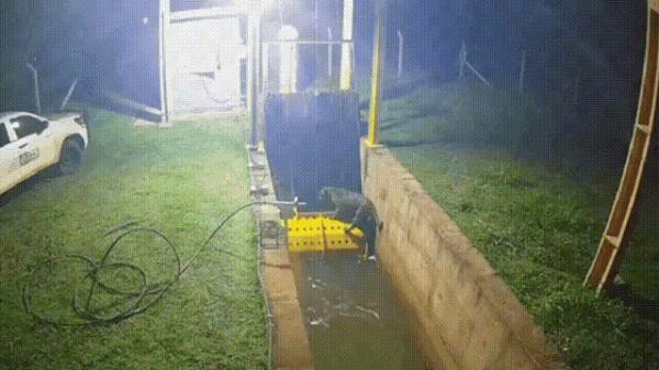 MT: On&ccedil;a-pintada presa em canal de usina &eacute; resgatada; Bombeiros identificaram que o animal apresentava dificuldades para sair sozinho
