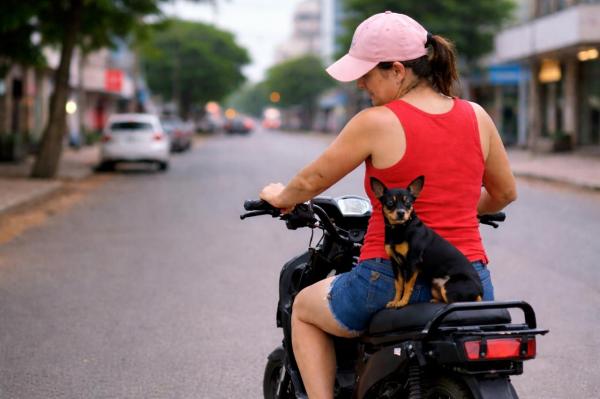 Ipiranga do Norte: Cachorra da ra&ccedil;a pinscher &eacute; furtada por mulher em bicicleta el&eacute;trica