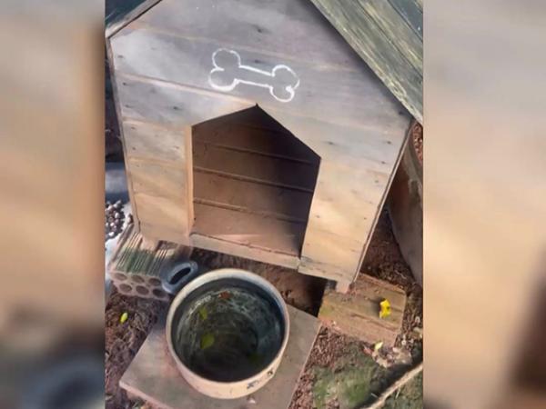 Sorriso: PM prende traficante e apreende drogas na casinha do cachorro