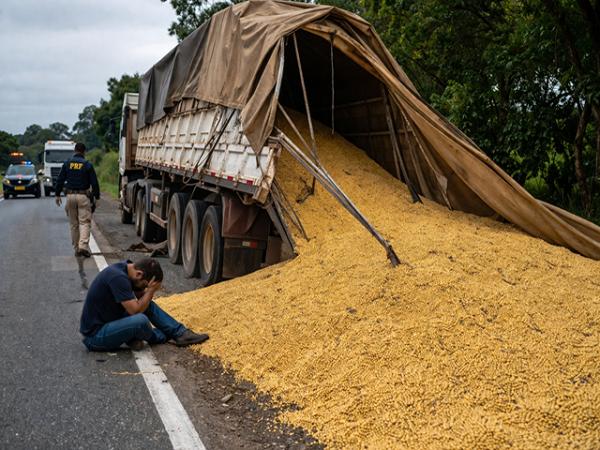 Sorriso: Transportadoras s&atilde;o condenadas por perda total de soja ap&oacute;s mal s&uacute;bito de motorista