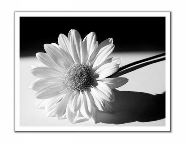 Prefeitura lamenta o falecimento de Dona Maria Elena, mãe da primeira-dama, Jucélia Ferro