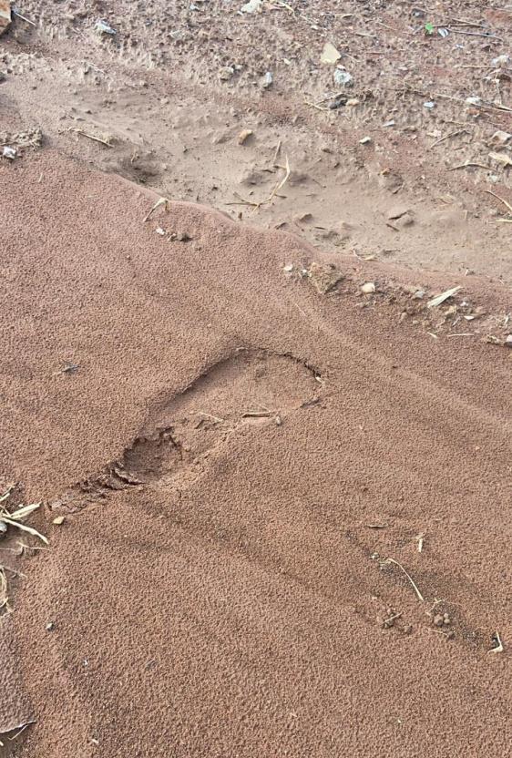 Lucas do Rio Verde: Pegadas de dois adultos são encontradas nas imediações de onde Heitor foi encontrado