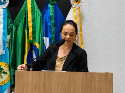 Sorriso: vereadora defende programa de capacita&ccedil;&atilde;o para mulheres em reaproveitamento t&ecirc;xtil e artesanato sustent&aacute;vel