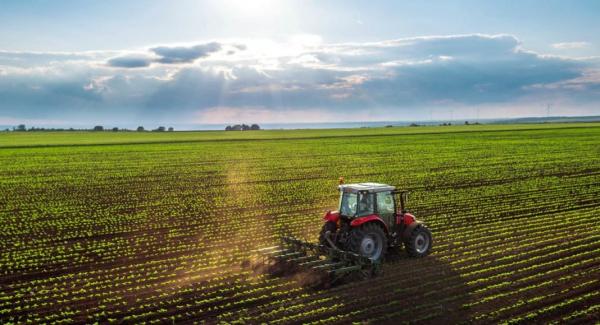 PIB do agronegócio subiu quase 17% nos primeiros dez meses de 2020