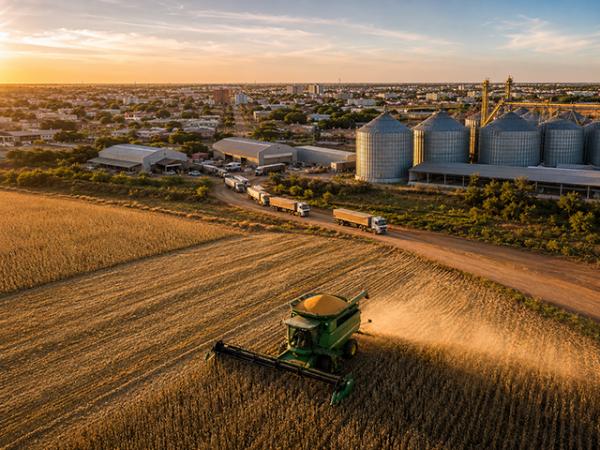 Sorriso movimenta R$ 771,9 milh&otilde;es com exporta&ccedil;&otilde;es em julho e fica em 3&ordm; lugar em Mato Grosso