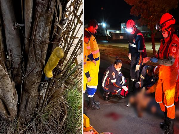 Sorriso: Homem morre na BR-163 ap&oacute;s ser esfaqueado; v&iacute;tima levou facada no peito ap&oacute;s briga na rodovi&aacute;ria. Faca foi encontrada em &aacute;rvore