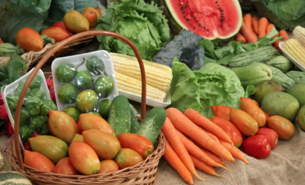 Prefeitura de Sorriso abre chamada para agricultores familiares fornecerem alimentos ao PAA