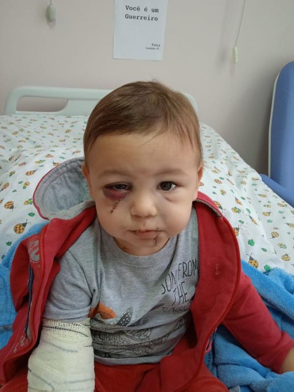 Hospitalizado e sem previsão de alta, bebê ferido em ataque a creche de SC tem cartaz de incentivo: 'Você é um guerreiro