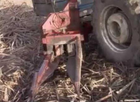 17 anos após perder filho SUGADO por colheitadeira, em Sorriso, mãe cobra por Justiça