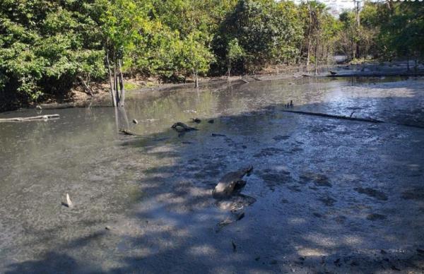 Sema aplica multa de R$ 1 milhão em empresa de Sorriso por poluir Rio Celeste