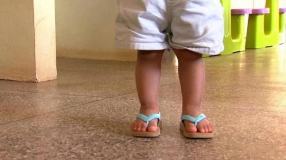 Cachorro da raça chow chow ataca e mata bebê de 1 ano em MT