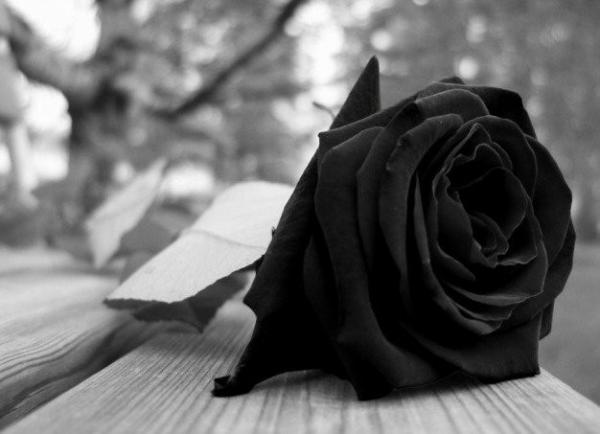 Sorriso: Mulher, de 76 anos, é a 244ª morte por Covid-19