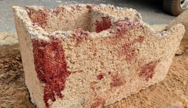 Sorriso: Mulher encontra homem espancado e com rosto desfigurado no quintal de casa