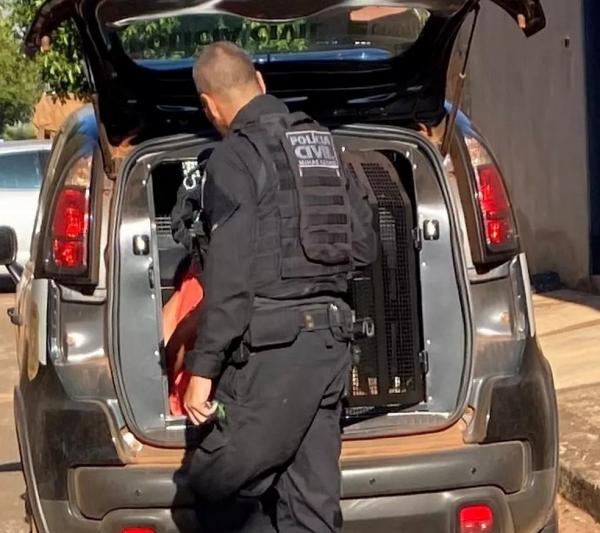 Crian&ccedil;a de 5 anos morre ap&oacute;s ser queimada viva; Crian&ccedil;a foi queimada em ritual de evoca&ccedil;&atilde;o de esp&iacute;ritos