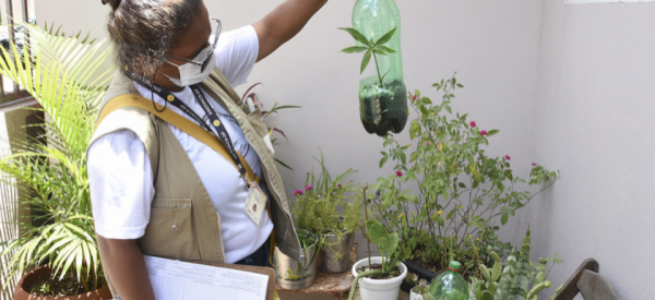 Sorriso: Vigil&acirc;ncia em Sa&uacute;de alerta para alta nos casos de dengue