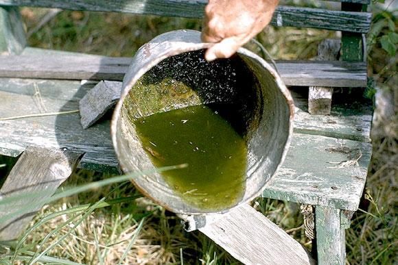 Sorriso: Agente de sa&uacute;de &eacute; agredido com tapas e expulso de casa no M&aacute;rio Raiter