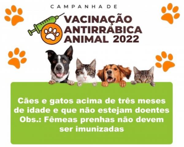 Campanha de imuniza&ccedil;&atilde;o antirr&aacute;bica ter&aacute; in&iacute;cio no dia 8 de agosto