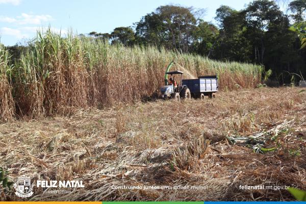 Feliz Natal: Prefeitura auxilia pequeno produtor com maquin&aacute;rios e assist&ecirc;ncia t&eacute;cnica