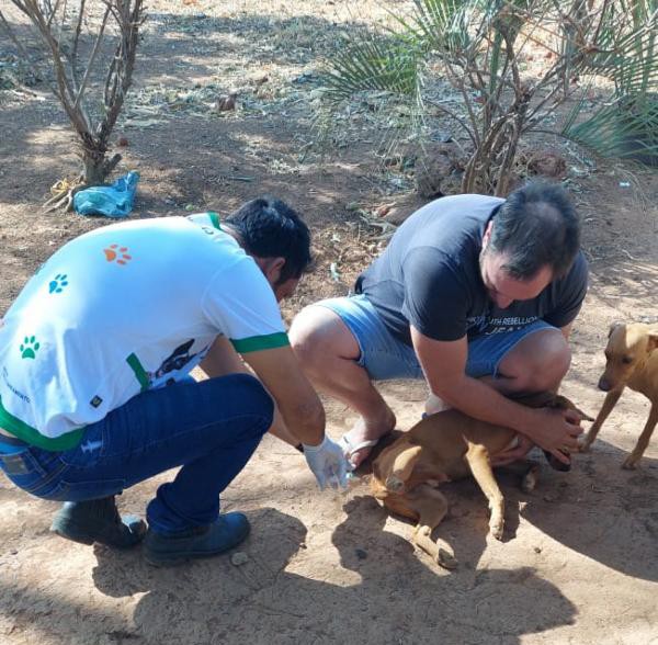 Sorriso: Definidos locais para realiza&ccedil;&atilde;o do dia D da vacina antirr&aacute;bica