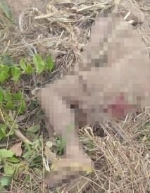 Sinop: Jovem &eacute; achado morto em vala; suspeito fugiu de UPA