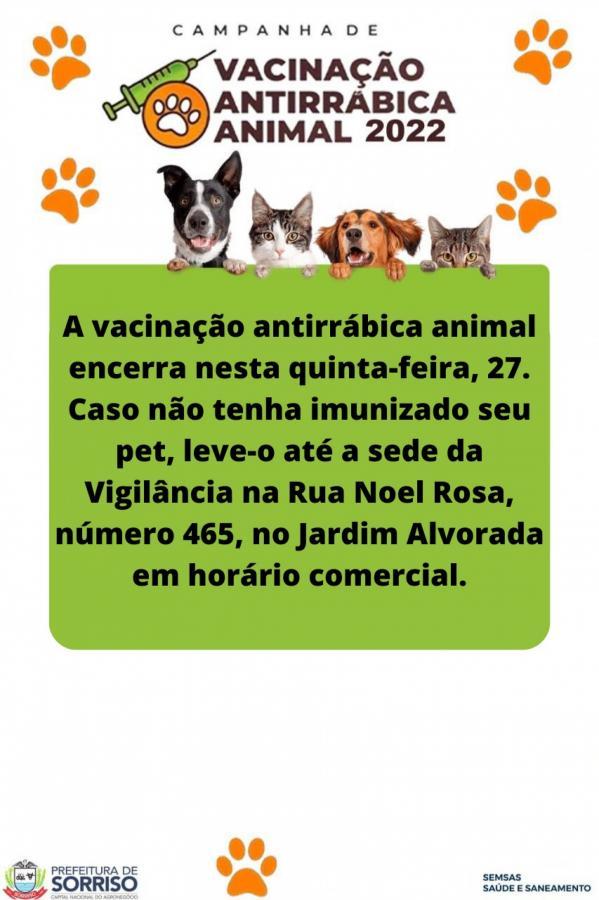 Sorriso vai encerrar campanha antirr&aacute;bica animal nesta quinta-feira, 27