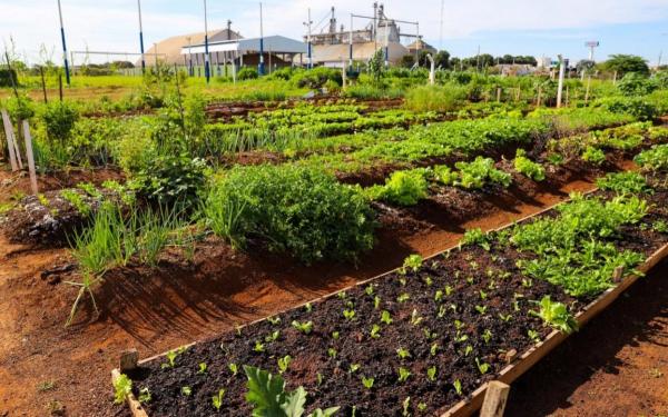 Sorriso: Jane pede constru&ccedil;&atilde;o de po&ccedil;o artesiano em horta comunit&aacute;ria, no bairro Nova Alian&ccedil;a