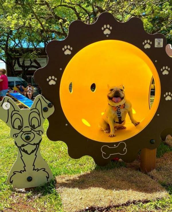 Sorriso contar&aacute; com parque para pets
